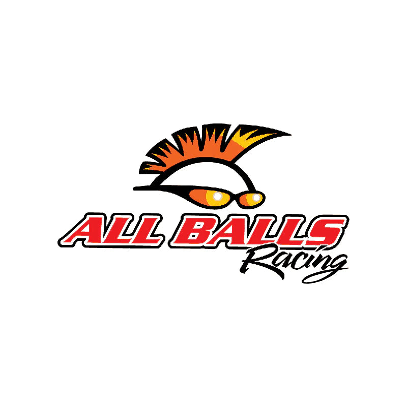 All Balls Racing