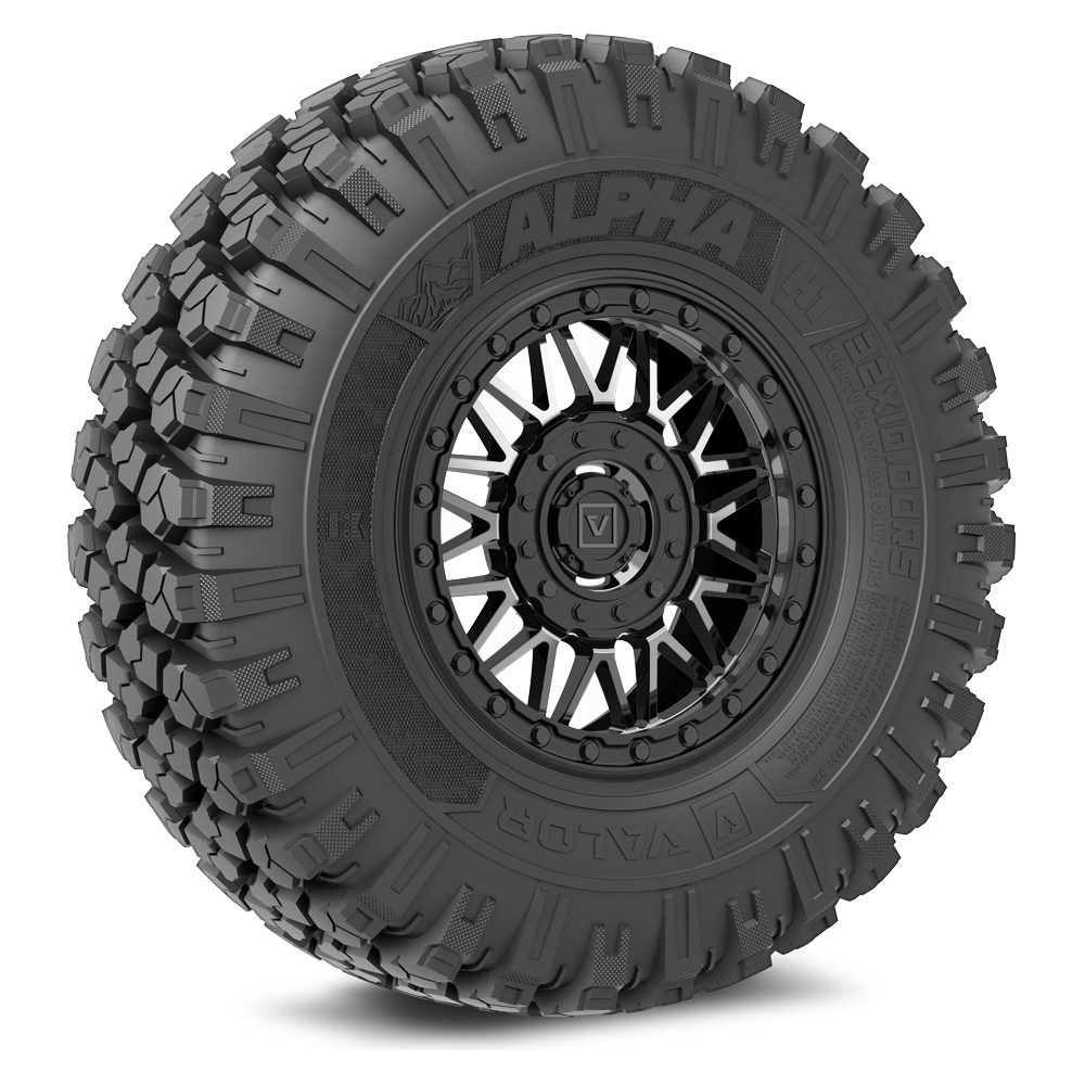 Alpha V08 (Dark Tint) Wheel & Tire Package