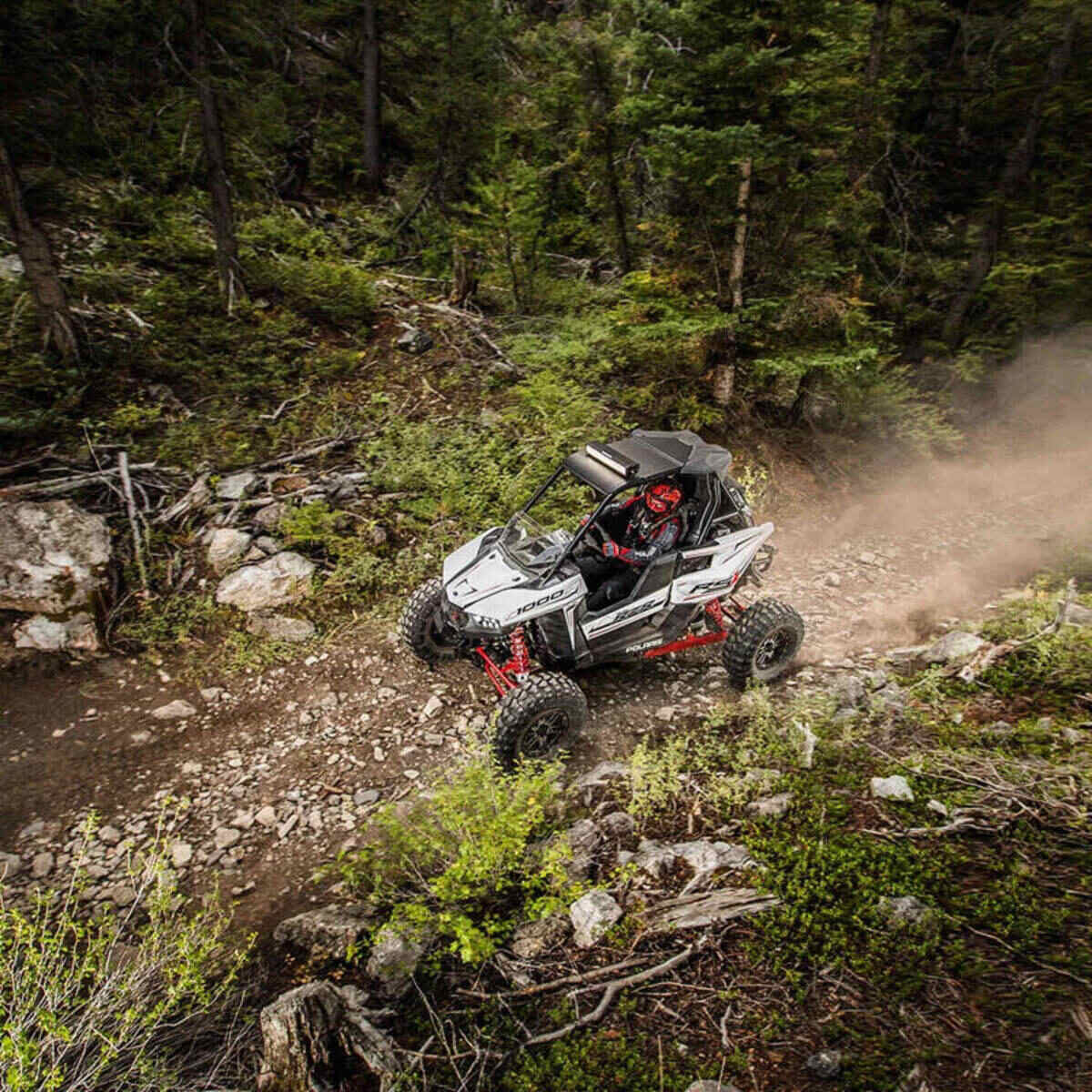 Polaris RZR RS1 Aluminum Roof