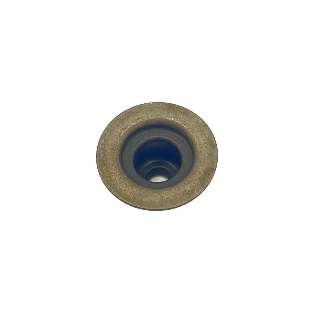 Polaris Valve Spring Seat with Seal