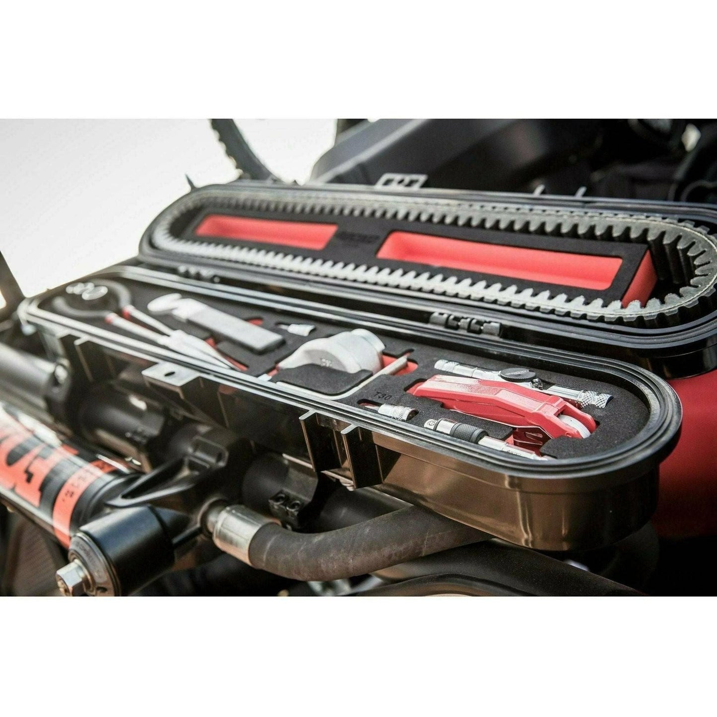 BOXO Tool Kit