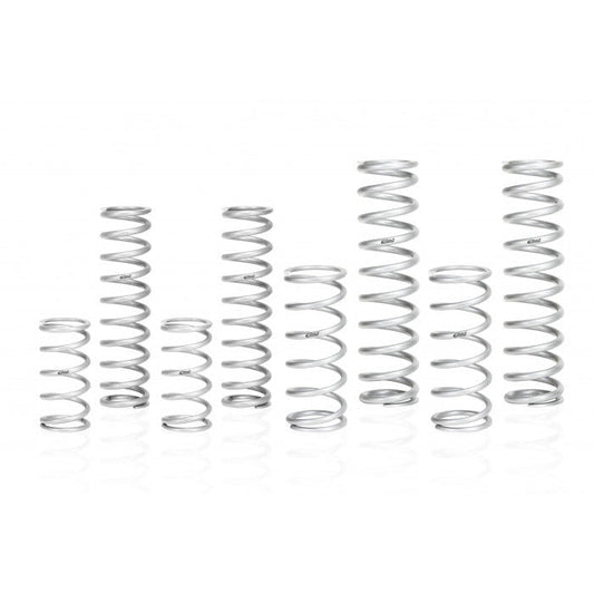 Can Am X3 MAX DS Stage 2 Performance Spring System