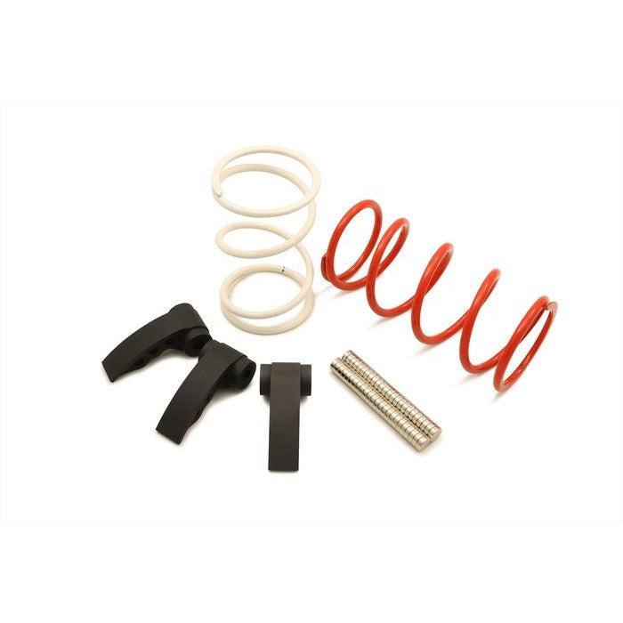 Polaris RZR Pro R Clutch Kit