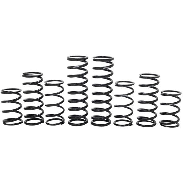 Polaris RZR Turbo R 4 Dynamics Stage 1 Spring Kit