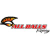 All Balls Racing
