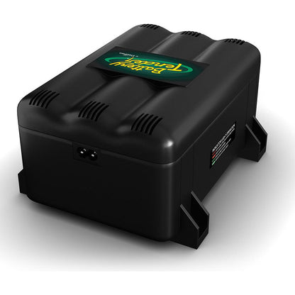 2 Bank 1.25 AMP 12V Battery Charger