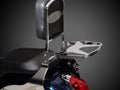 National Cycle P9900 Paladin Luggage Rack for Honda, Suzuki, Kawasaki, and Yamaha Motorcycles