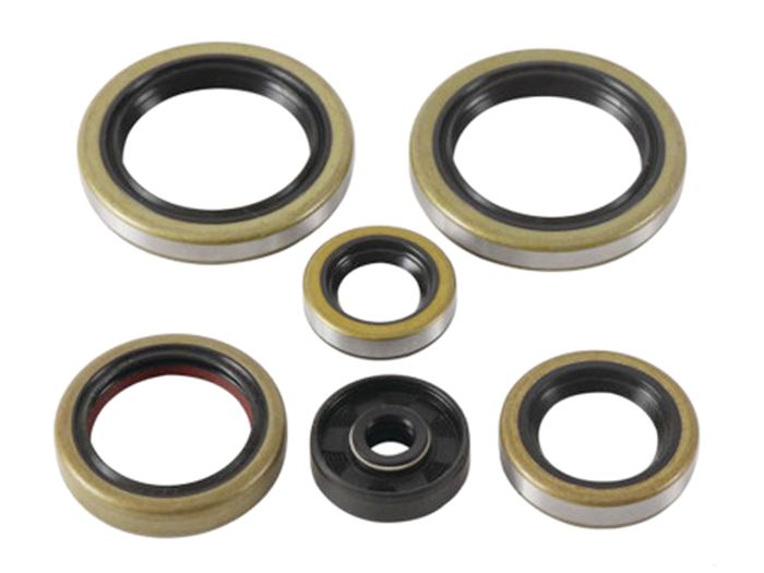 Psychic MX-09095 Engine Oil Seal Kit for Automotive Maintenance