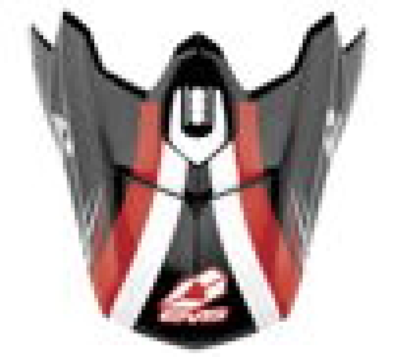 EVS T3 Works Helmet Visor – Black, White & Red for Powersports Helmets