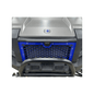 Polaris Xpedition Grill