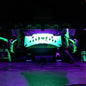 (Base) - UV Single Color Standard Rock Light Kit