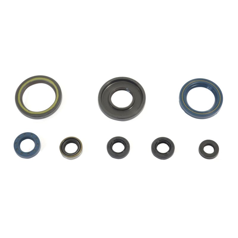 Athena 84-89 KTM 250 GS-MX Engine Oil Seal Kit - Reliable Replacement Gaskets for Powersports