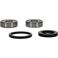 Pivot Works Premium Wheel Bearing Kit for Honda ST1100 and Valkyrie Models - Part #25-1380-P