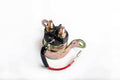 Ricks Motorsport Electrics Polaris Solenoid Switch Part 65-501 for Trail Boss and Big Boss Models