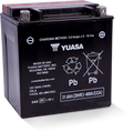 Yuasa YIX30L-BS-PW High Performance Maintenance Free AGM Battery for Sea-Doo GTX and RXP Models