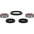 Pivot Works Premium Wheel Bearing Kit for Yamaha YFM80 Badger - Part No. 25-1052-P