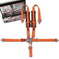 5 Point Harness