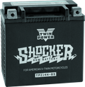 Twin Power YTX-14 Shocker Motorcycle Battery - Heavy-Duty Power for Harley Davidson and Indian FTR 1200