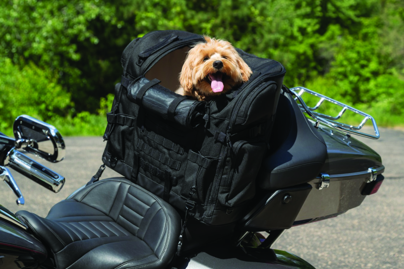 Kuryakyn Pet Palace Titan Motorcycle Carrier for Touring Seat – Weather-Resistant and Heat-Reducing Pet Crate