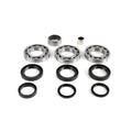 EPI Differential Bearing & Seal Kit for Polaris 300-800 Sportsman, Scrambler, Ranger – Part WE290125
