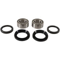 Pivot Works Front Wheel Bearing Kit for Honda TRX300FW Fourtrax 4X4