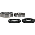 Pivot Works Premium Wheel Bearing Kit Part #25-1689-P for Powersports Vehicles