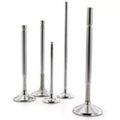 Ferrea Competition Exhaust Valve Set for 2011-2012 Polaris RZR XP900 - 33mm Head Diameter, 5.47mm Stem Diameter