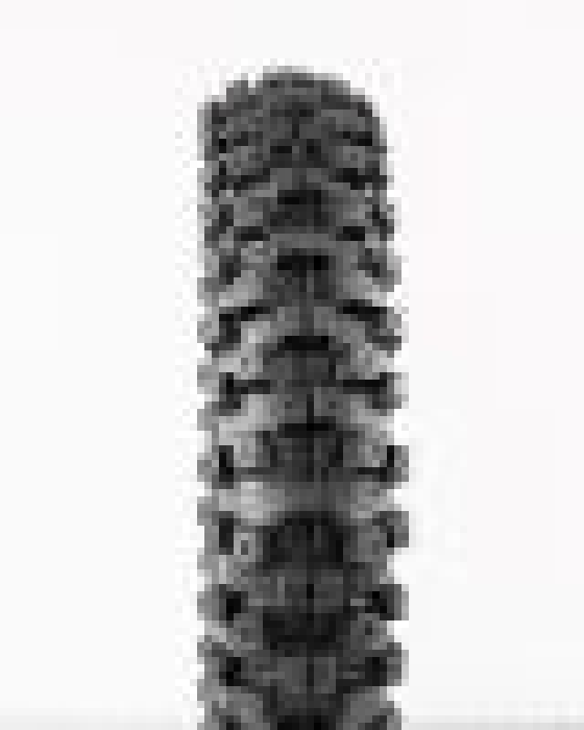 ProTaper MXT 04 Rear Tire 80/100-12 for Off-Road Racing and Riding