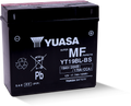 Yuasa YT19BL-BS Maintenance Free AGM 12-Volt Battery for BMW Powersports Vehicles