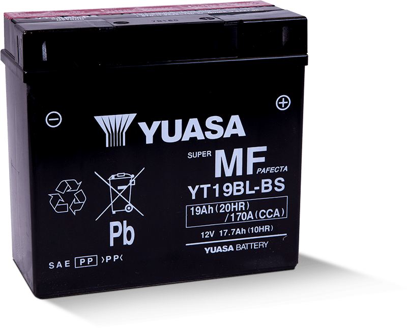 Yuasa YT19BL-BS Maintenance Free AGM 12-Volt Battery for BMW Powersports Vehicles
