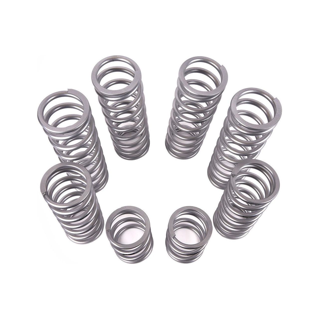 Polaris RZR Pro R Dual Rate Spring Kit