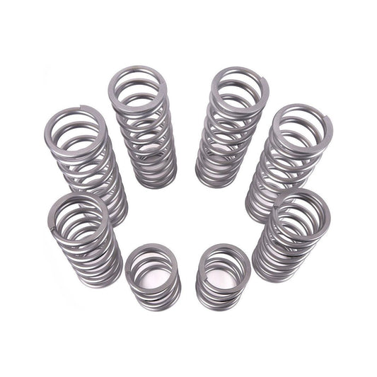 Polaris RZR Pro R Dual Rate Spring Kit