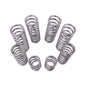 Polaris RZR Pro R Dual Rate Spring Kit