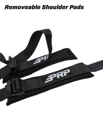 5.3 Custom Harness (SFI 16.1)
