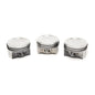 Can Am X3 OEM Pistons