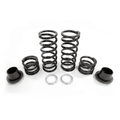 Zbroz Polaris RZR XP 1000 / Turbo Tender Spring Kit Walker Evans Needle Shock (2014-2023)