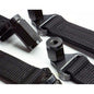 Polaris RZR Turbo R Limit Strap Kit
