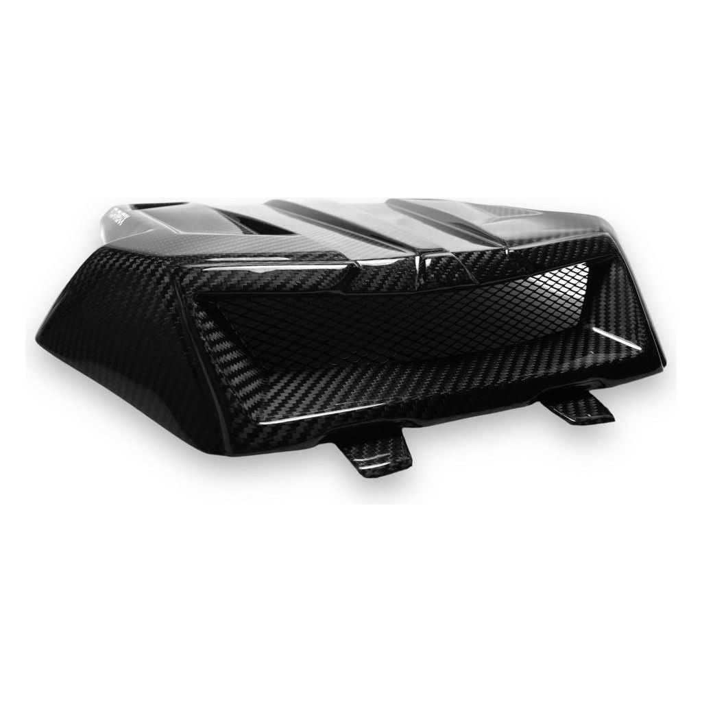 Polaris RZR Pro / Turbo R R23 Carbon Fiber Hood