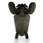 Polaris Ranger XD 1500 Crew Premium UHMW Skid Plate