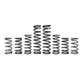 Zbroz Polaris RZR Pro R 4 Fox Dynamics Stage 1 Spring Kit