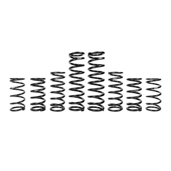 Zbroz Polaris RZR Pro R 4 Fox Dynamics Stage 1 Spring Kit