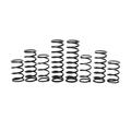 Zbroz Polaris RZR Pro R4 Walker Evans Stage 1 Spring Kit