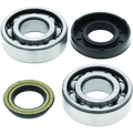 QuadBoss Polaris Predator 50 Crankshaft Bearing & Seal Kit (Part 414072)