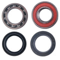Yamaha 250 Beartracker Rear Axle Carrier Bearing & Seal Kit