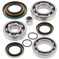 All Balls Racing '11-'15 Can-Am Commander 1000 Rear Differential Bearing & Seal Kit