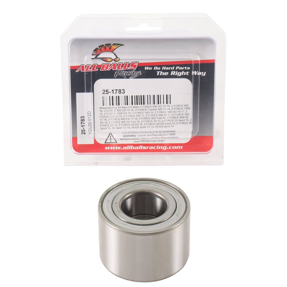 All Balls Racing '17 CFMoto Z-Force Wheel Bearing Kit