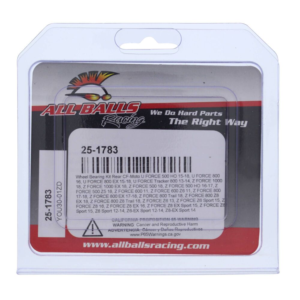 All Balls Racing '17 CFMoto Z-Force Wheel Bearing Kit