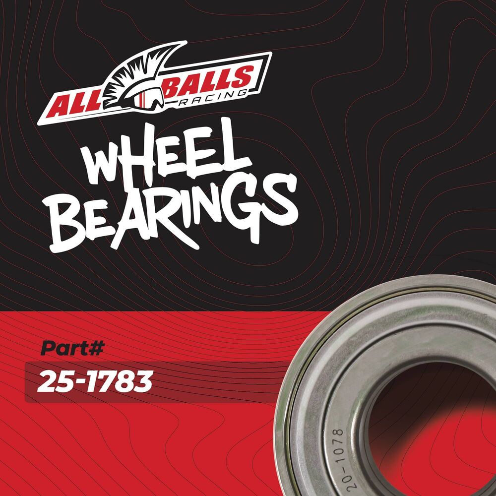 All Balls Racing '17 CFMoto Z-Force Wheel Bearing Kit