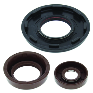 QuadBoss 05-09 Polaris Ranger 700 4x4 Oil Seal Set – Complete Engine and Transmission Rebuild Kit