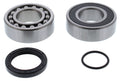 All Balls Racing 14-1072 Jack Shaft Bearing & Seal Kit for Arctic Cat 600 Sno-Pro/CC (20012-2013)
